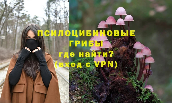 крисы Алзамай